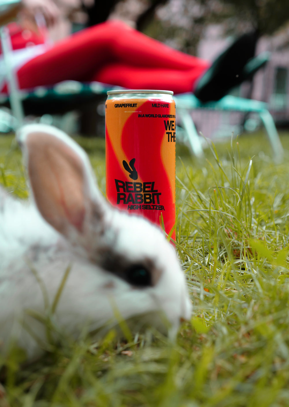 Drink Rebel Rabbit | Cannabis Infused Seltzers
