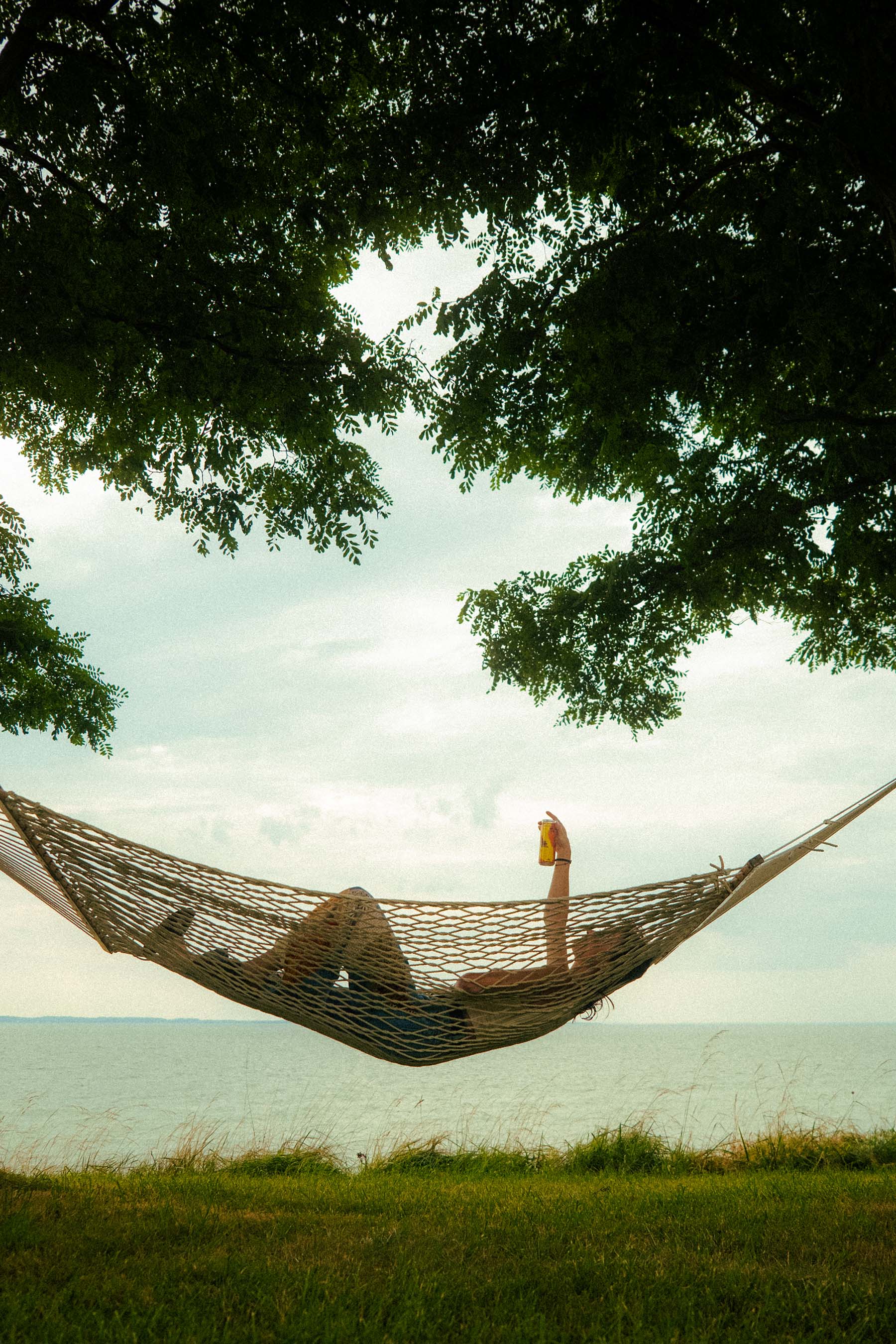 Shop THC & Cannabis Infused Seltzers | Drink Rebel Rabbit